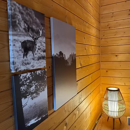 Auerhahn Ferienhaeuser Auerhahn 510 * هاسلفيلد