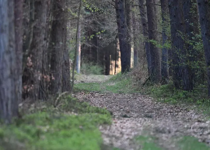 Auerhahn Ferienhaeuser Auerhahn 510 Hasselfelde